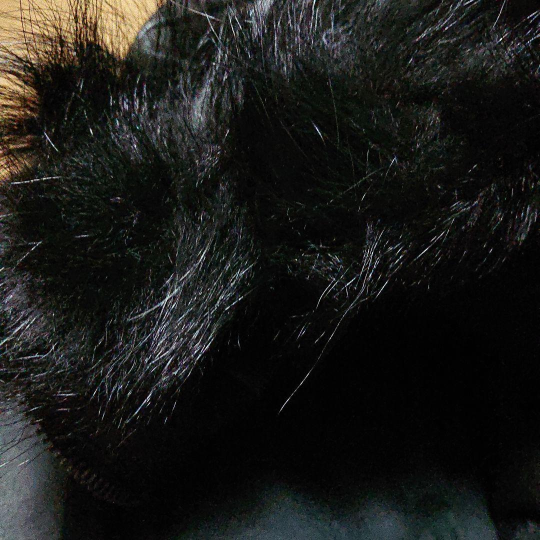 SHELLAC カウレザーライダースジャケット ラビットファー特別仕様【超美品】