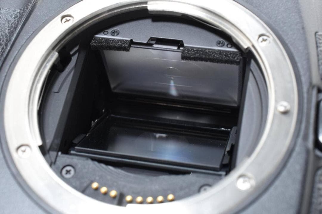 ショット数:15812回 Canon EOS-1Ds Mark II #1171