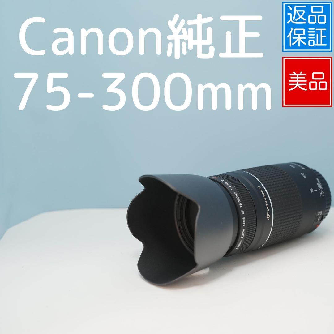 Canon純正 75-300mm 望遠レンズ 美品 a3878