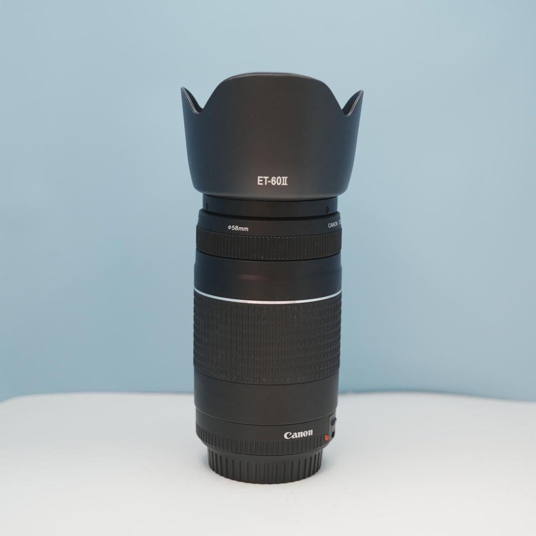 Canon純正 75-300mm 望遠レンズ 美品 a3878
