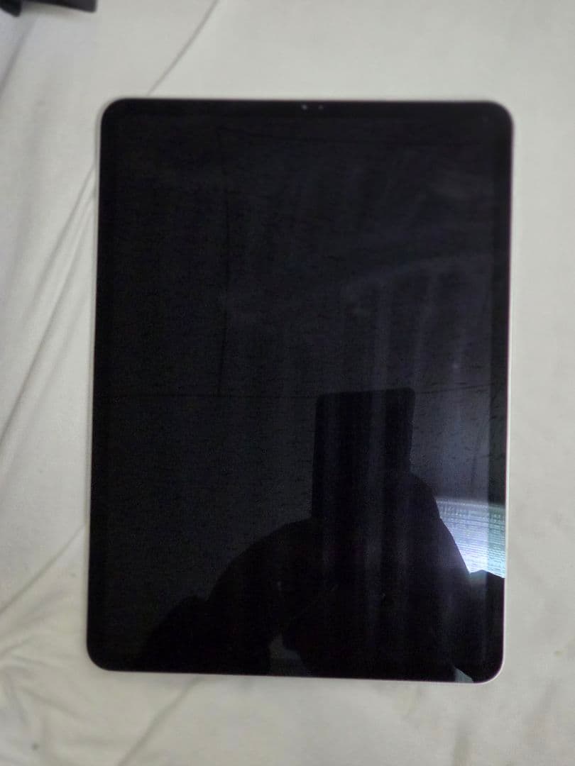 【訳あり】 iPad Pro 11インチ 第1世代 256GB Wi-Fiモデル