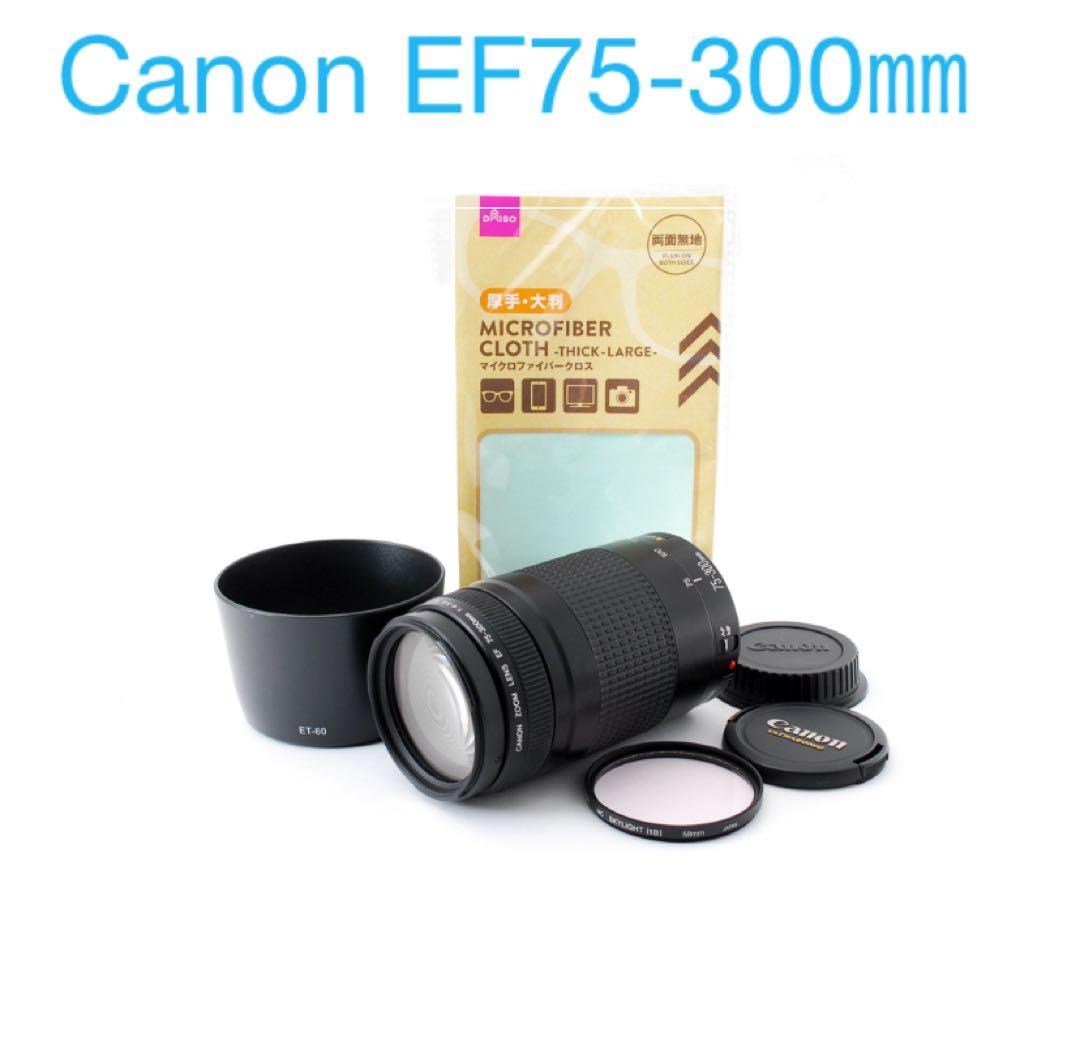 デジタル一眼レフカメラ/フード付き/Canon EF 75-300㎜　II