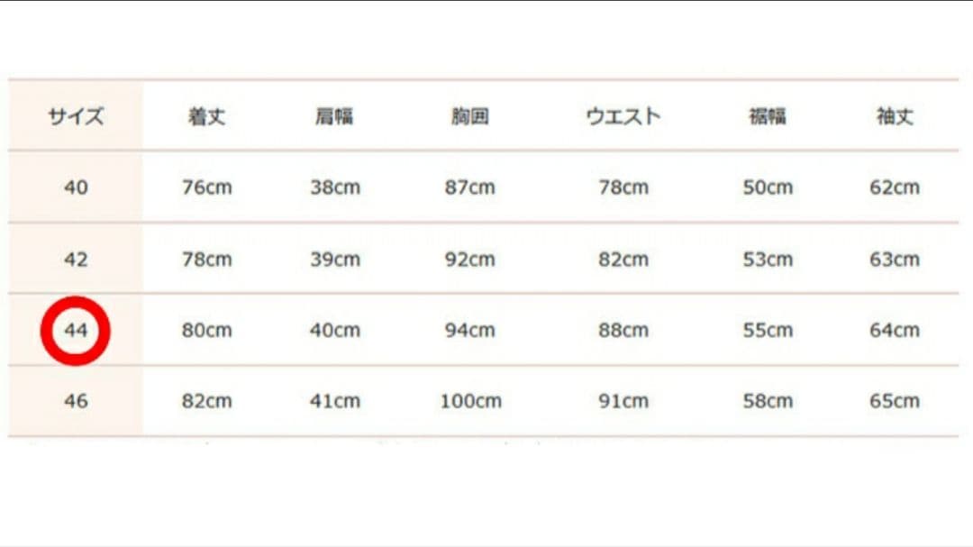 未使用 ケープホーン サンタクルス 44 BETULLA ホワイト リエス購入
