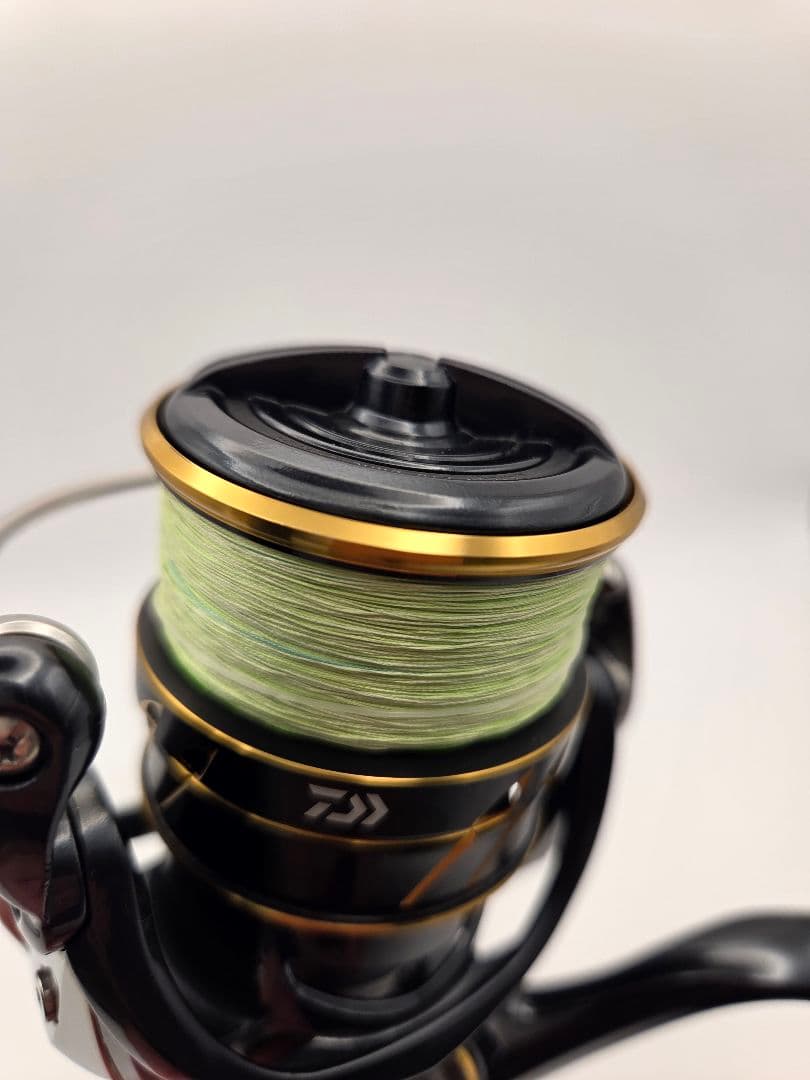リール DAIWA CALDIA SW 4000D-CXH
