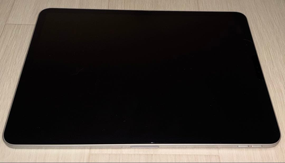 iPad Pro 11インチ　第2世代　256GB本体➕Apple Pencil