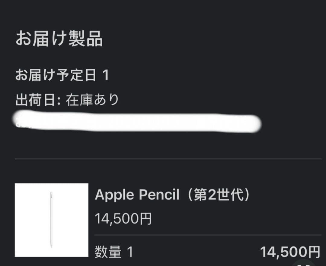 iPad Pro 11インチ　第2世代　256GB本体➕Apple Pencil