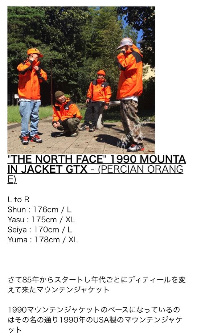 ノースフェイス 1990 MOUNTAIN JACKET GTX 極美品 XL