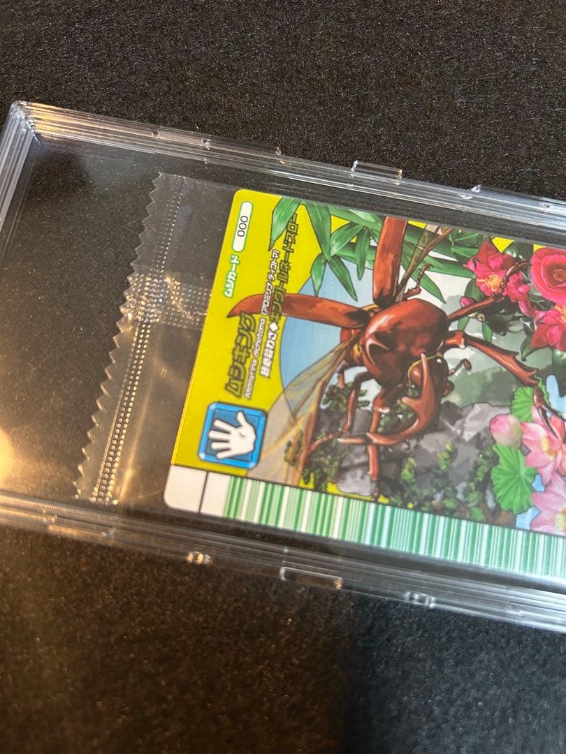 【激レア】ムシキング 5周年プロモカード カードホルダー付録　未開封完品