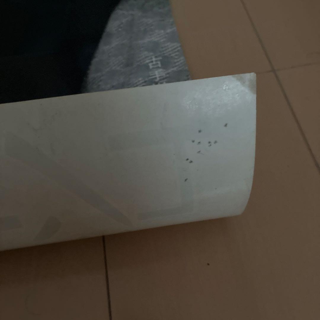 カネボウ　古手川祐子　非売品　ポスター