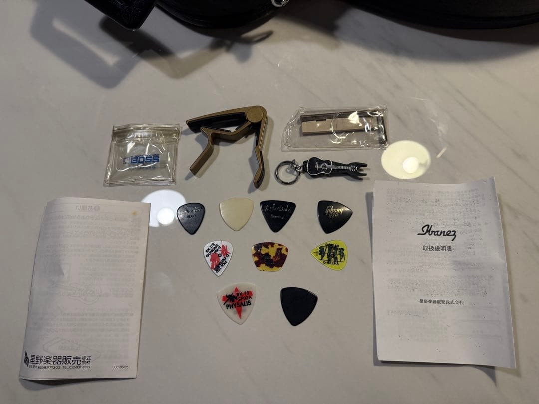 Ibanez アコースティックギター ハードケース付