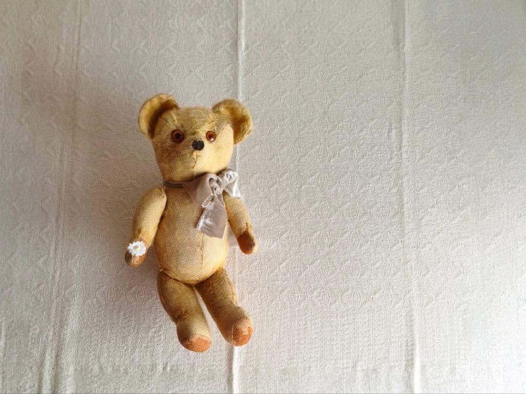 * antique bear ୨୧ .·*° オレンジの瞳が可愛い クマさん