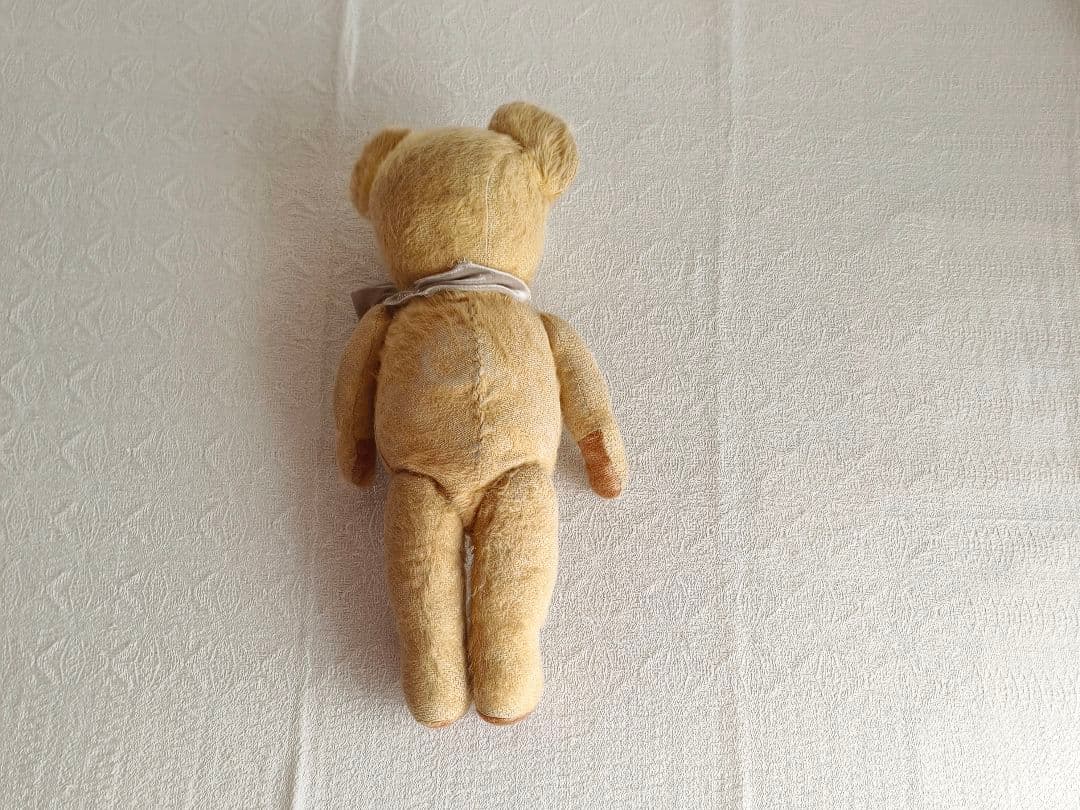 * antique bear ୨୧ .·*° オレンジの瞳が可愛い クマさん