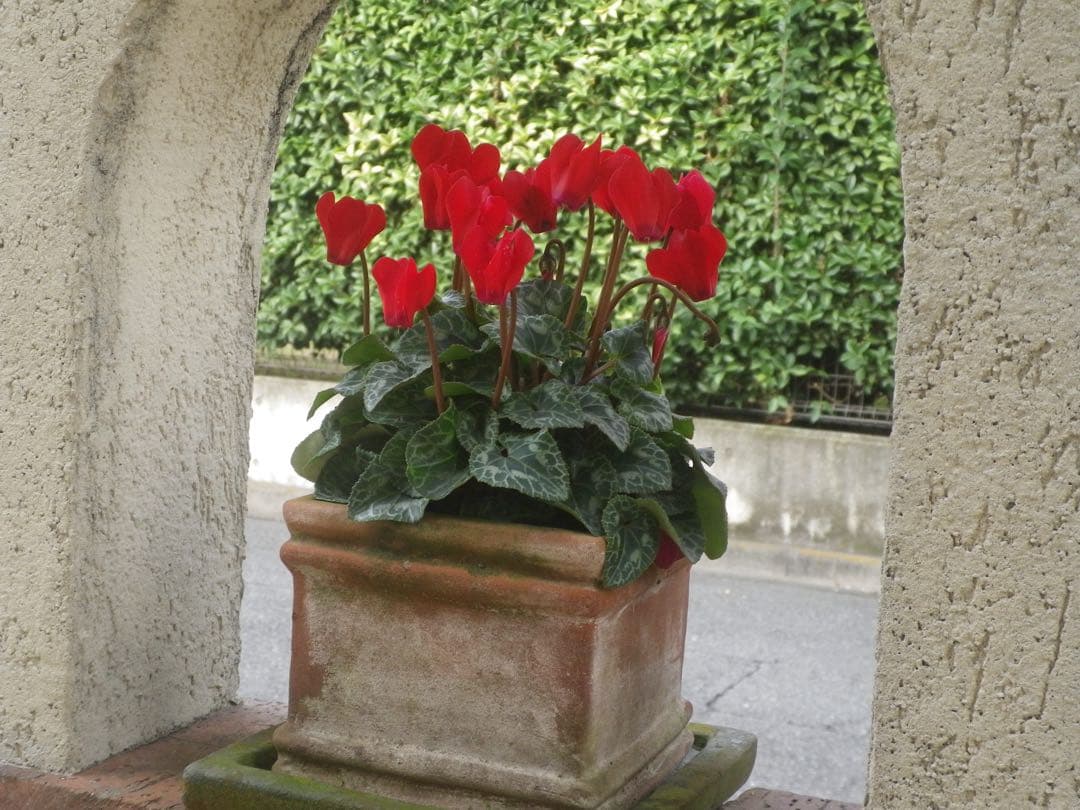 セール　PENTAX デジタルカメラ I-10 、ジャケット、スマホ転送セット