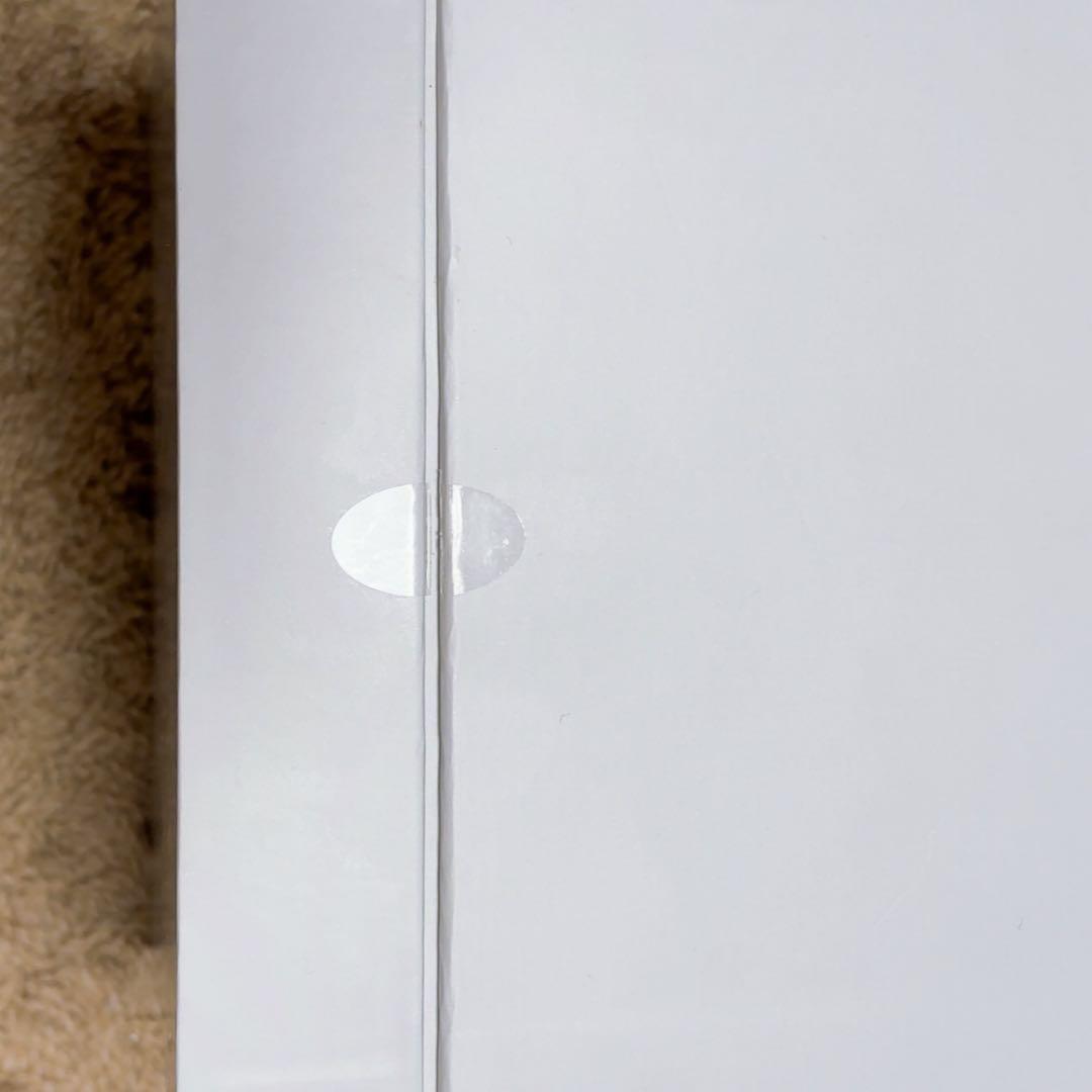 【未使用品】SALONIA PURE BRIGHT STEAMER サロニア