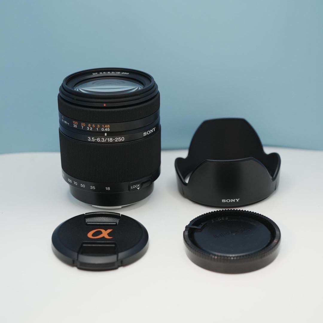 SONY純正 18-250mm 望遠レンズ 美品 a3927