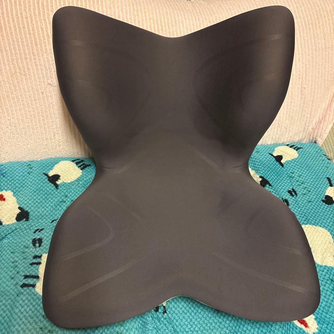 MTG Style premium 姿勢ケアシート スタイルプレミアム