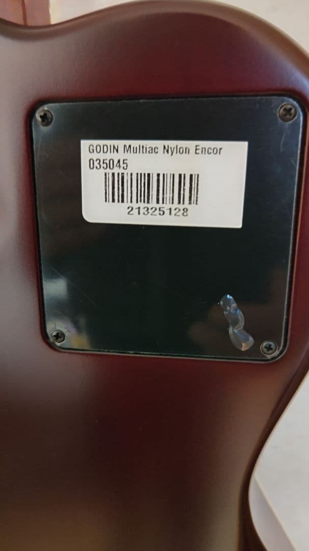 ゴダンギター　Multiac Nylon Encore