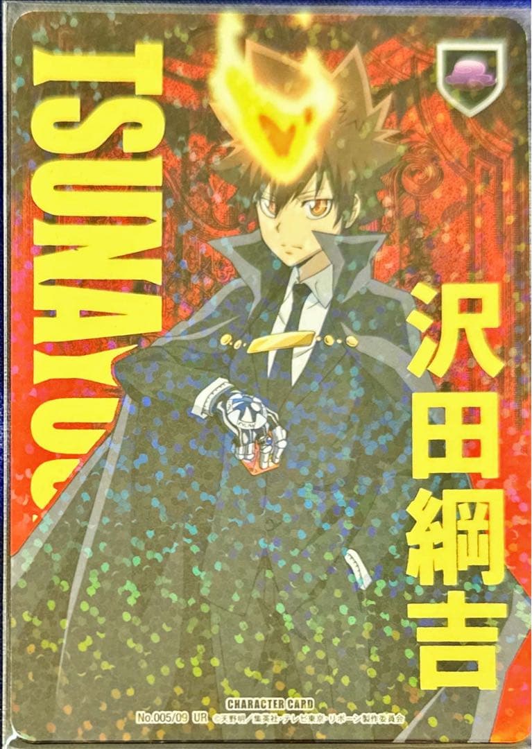 沢田綱吉 CCG B09 サインなし ボンゴレ匣 ツナ