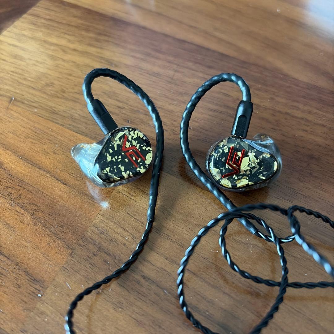 VISION EARS MEISTER イヤホン