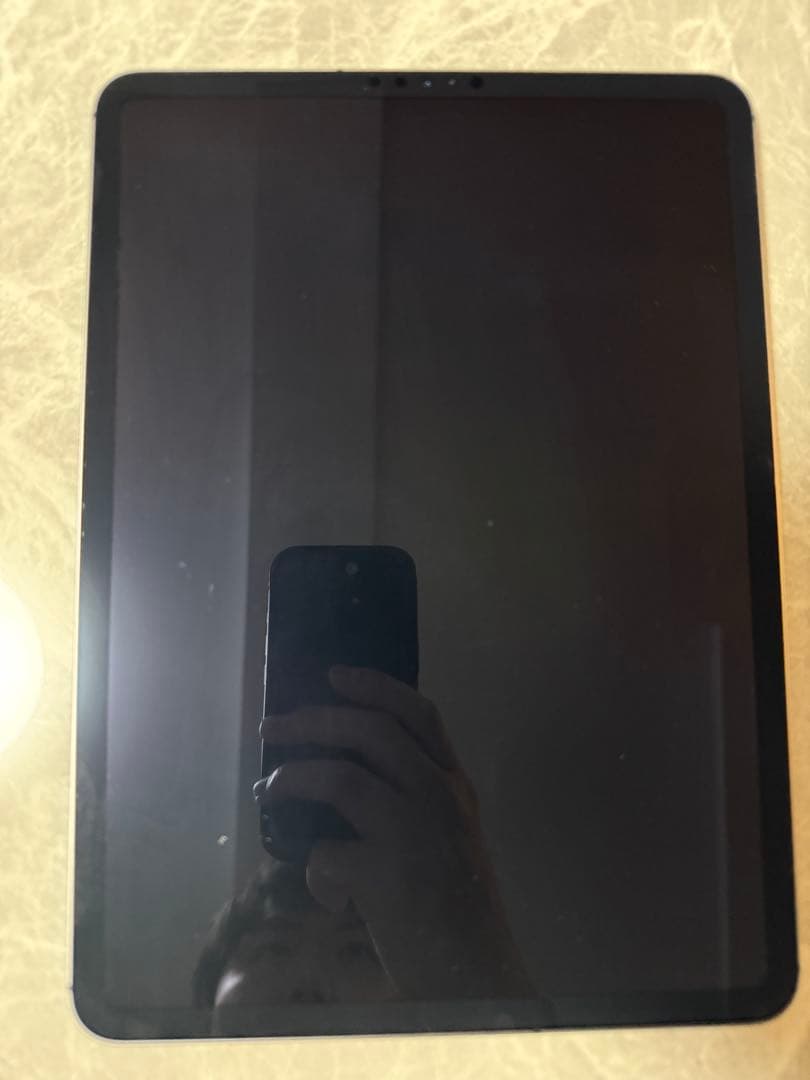 【美品】iPad Pro 11インチ 第2世代 Wi-Fi+Cellular