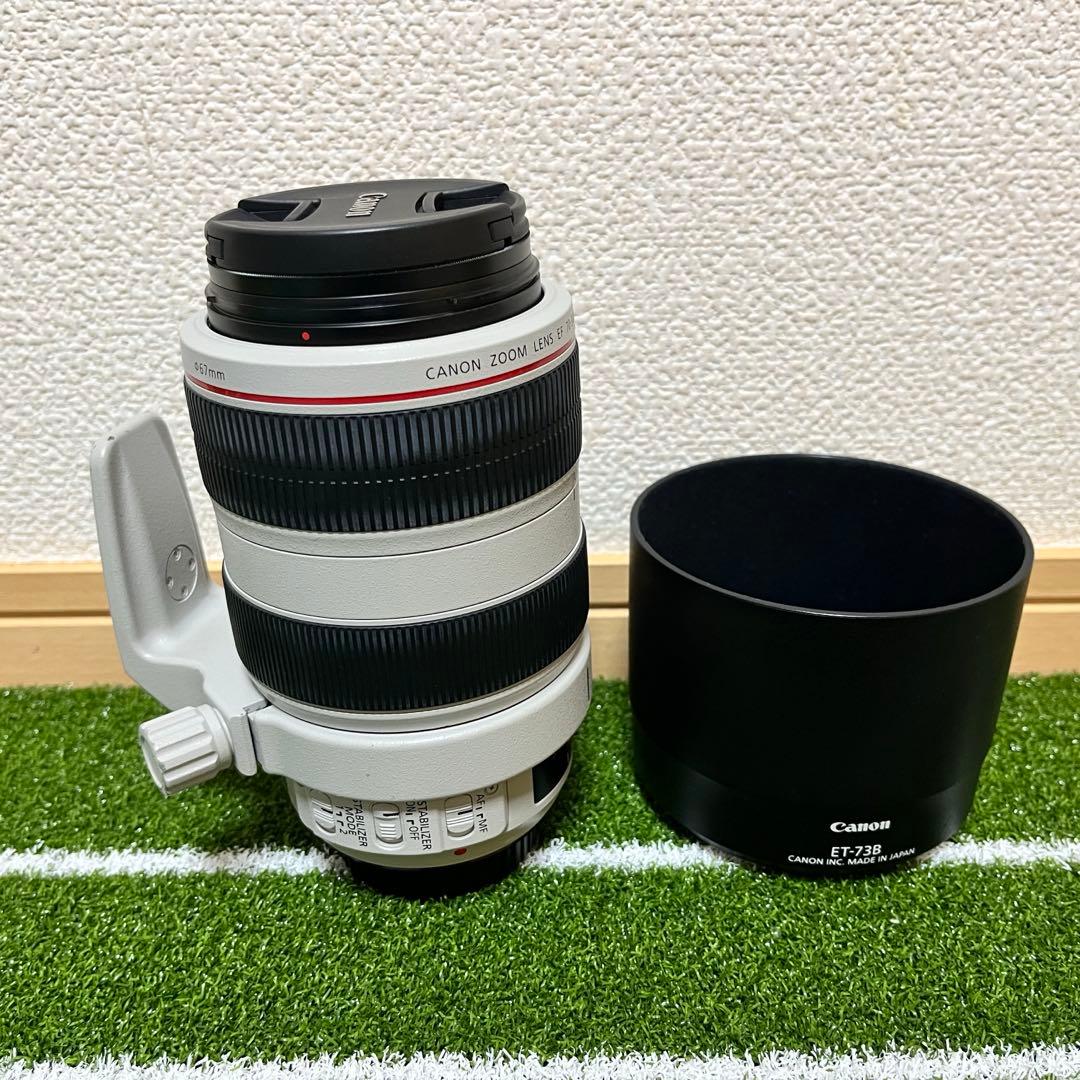 Canon EF 70-300mm F4-5.6L IS USM 動作品