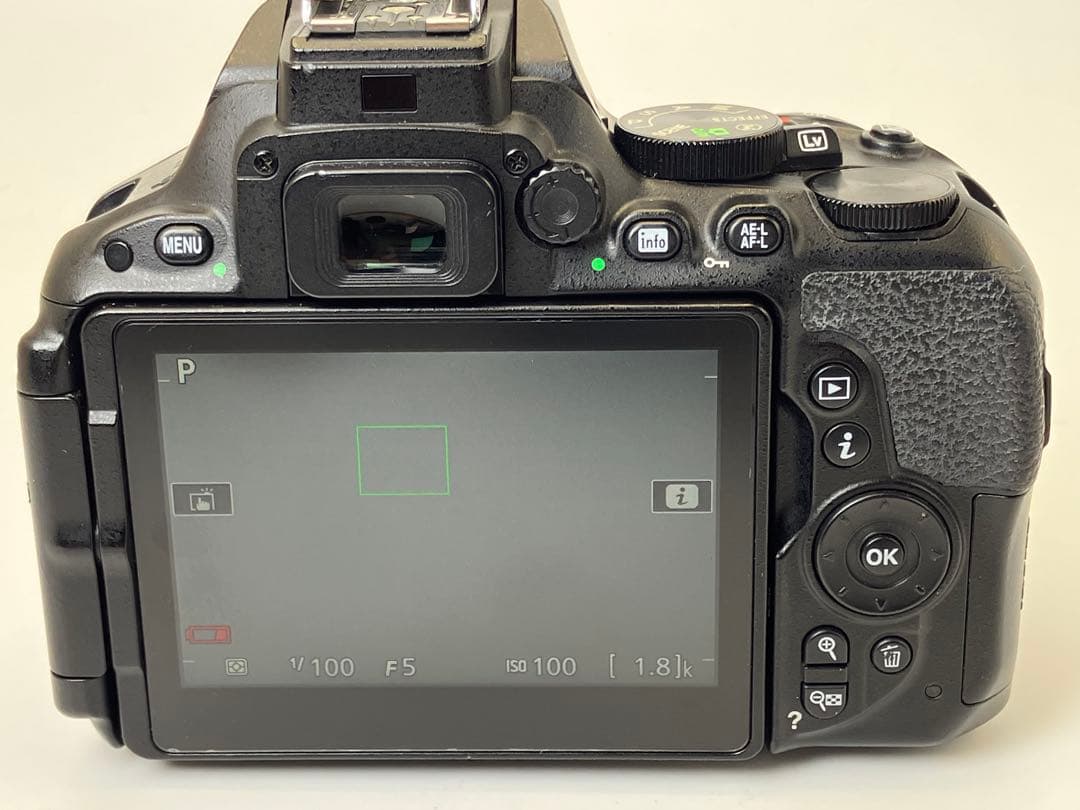 【返品保証・動作確認済】Nikon D5500 レンズキット