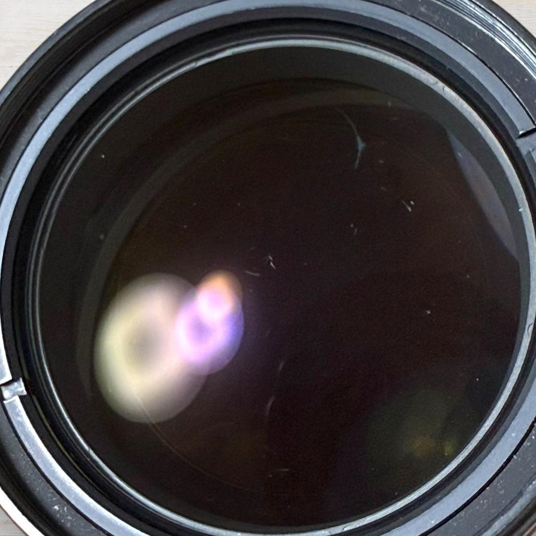 Nikon ズームレンズ AF-S DX 18-200mm #199