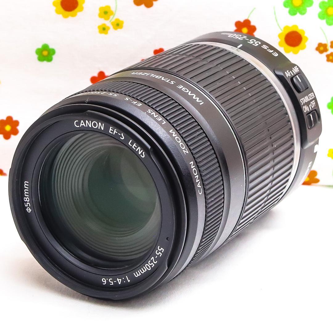 チョコレート　プロフ必読 Canon 55-250mmマウントアダプター付