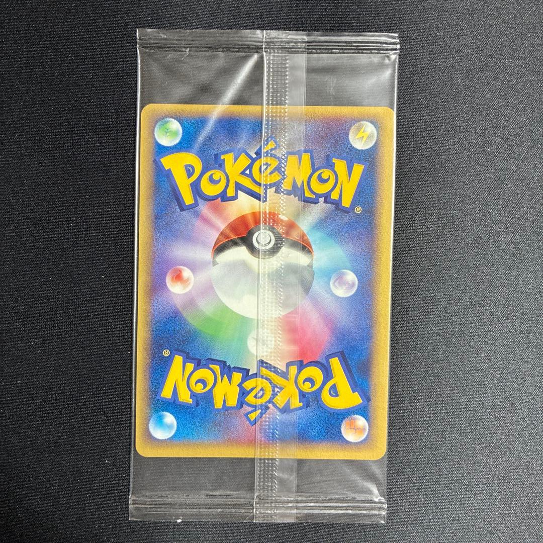 ポケパークのミズゴロウ プロモ 048/PCG-P ポケモンカード