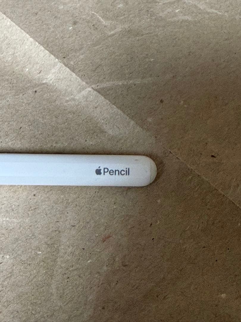 iPad Pro 12.9 inch 第6世代　512GB