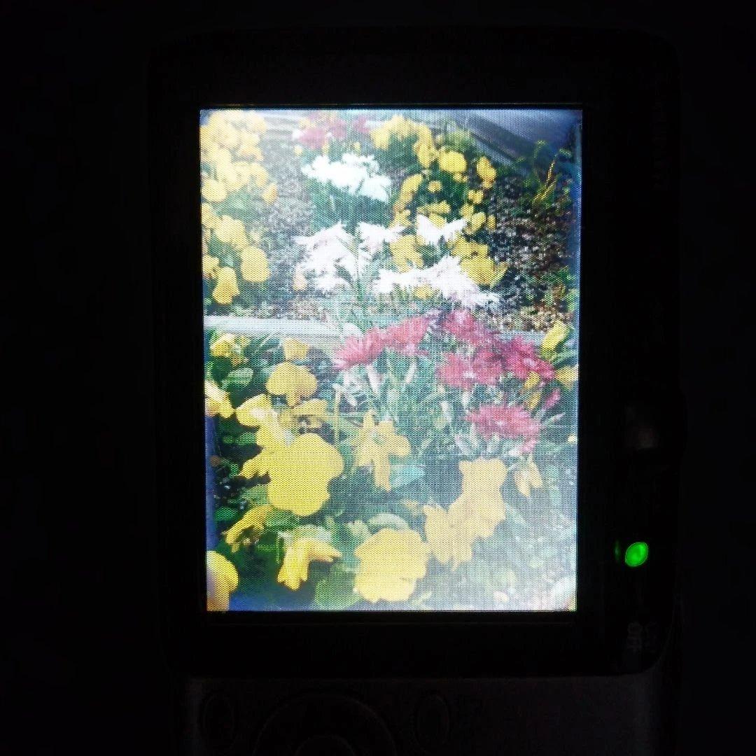 Canon IXY DIGITAL 800IS　シルバー