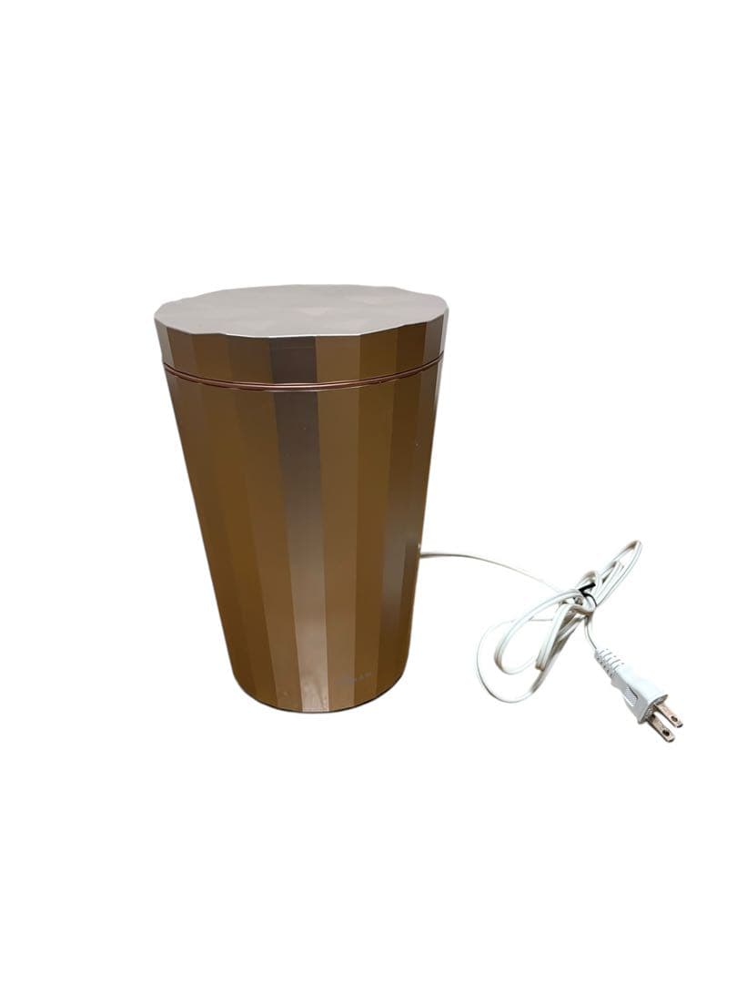 ヤーマン YA-MAN フォトスチーマー IS-100P