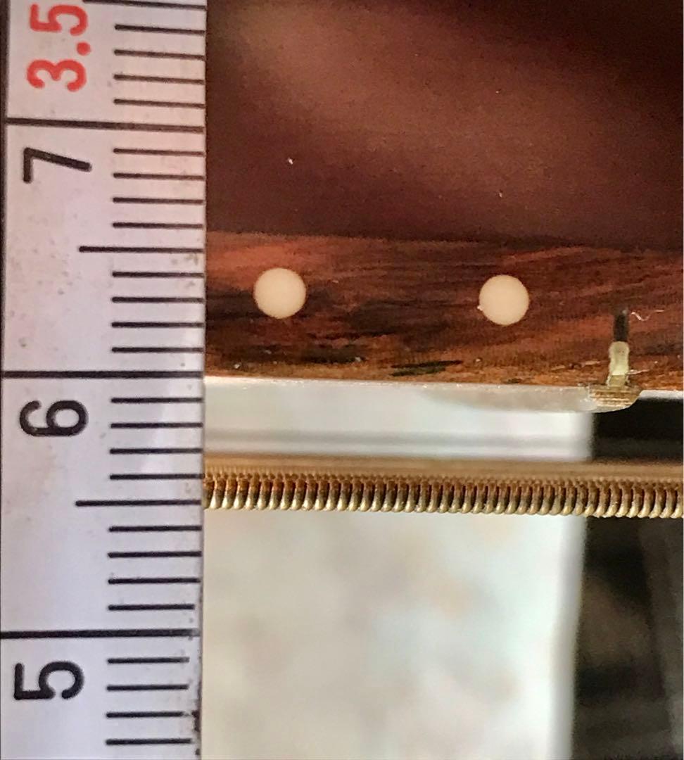 JOHNSON ジョンソン リゾネーターギター　ドブロ ナショナル スライド