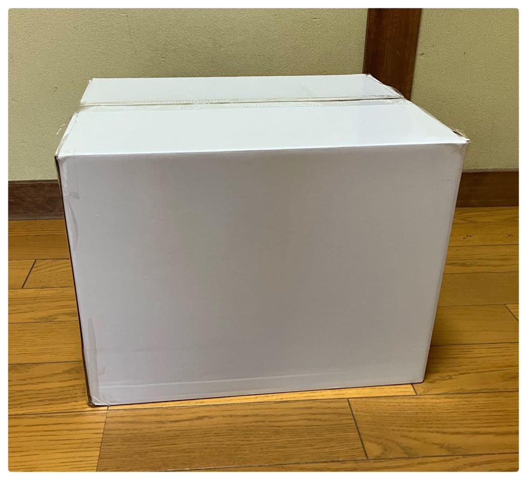 未使用品 steamfast スチームクリーナー