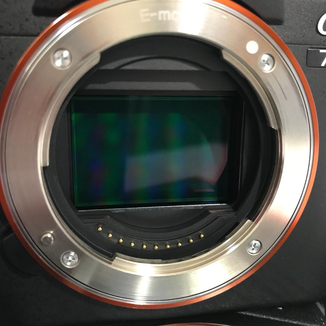 【撮影枚数2,763】SONY α7II ILCE-7M2