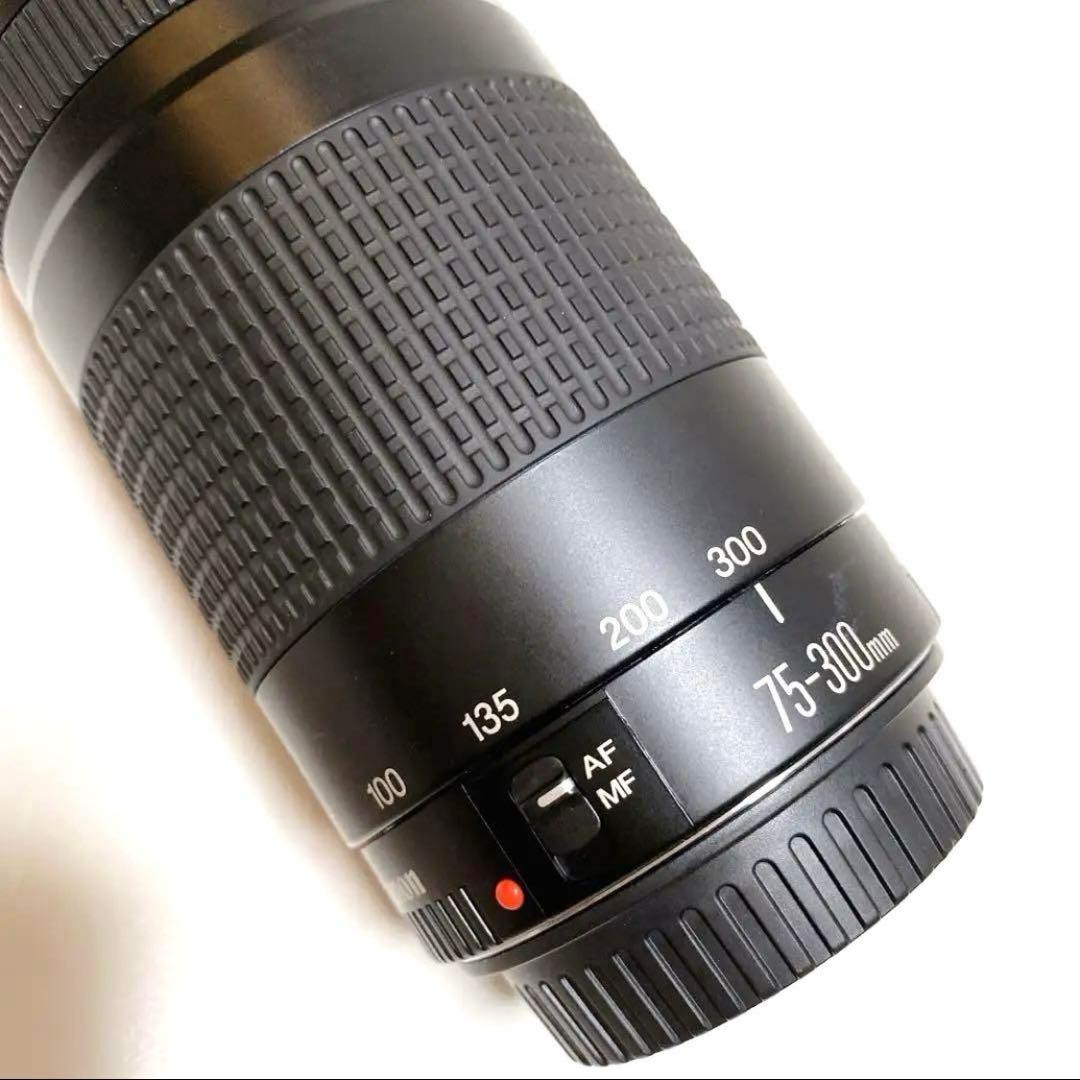 【美品】Canon 75-300mm F4-5.6 Ⅱ 超望遠レンズ
