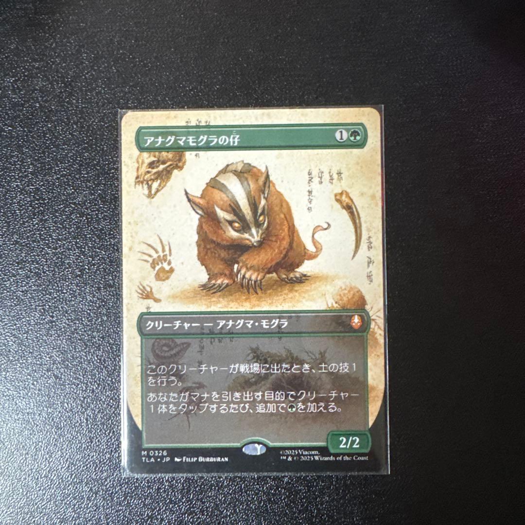 MTG フルアート　アナグマモグラの仔