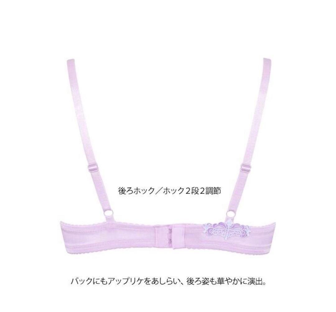 【サルート】♡希少H65 プッシュアップブラ　ショーツセット93Gニューヨーク