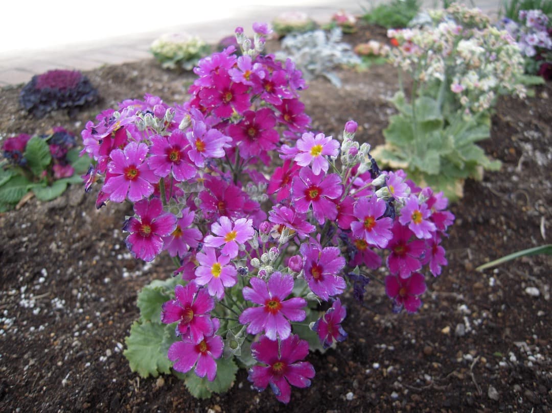 実写美⭕️美品【動作確認済み】Nikon COOLPIX S600 デジカメ