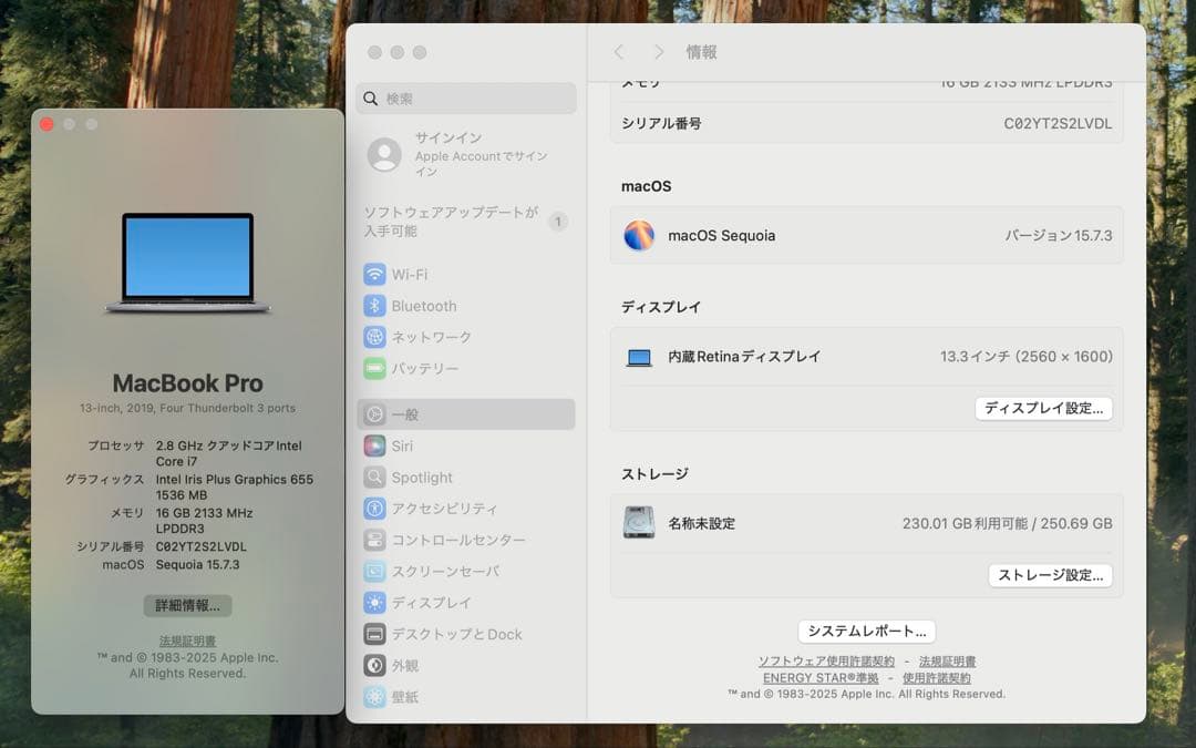 MacBook本体 Apple MacBook Pro 13 2019 i7/16GB/250GB