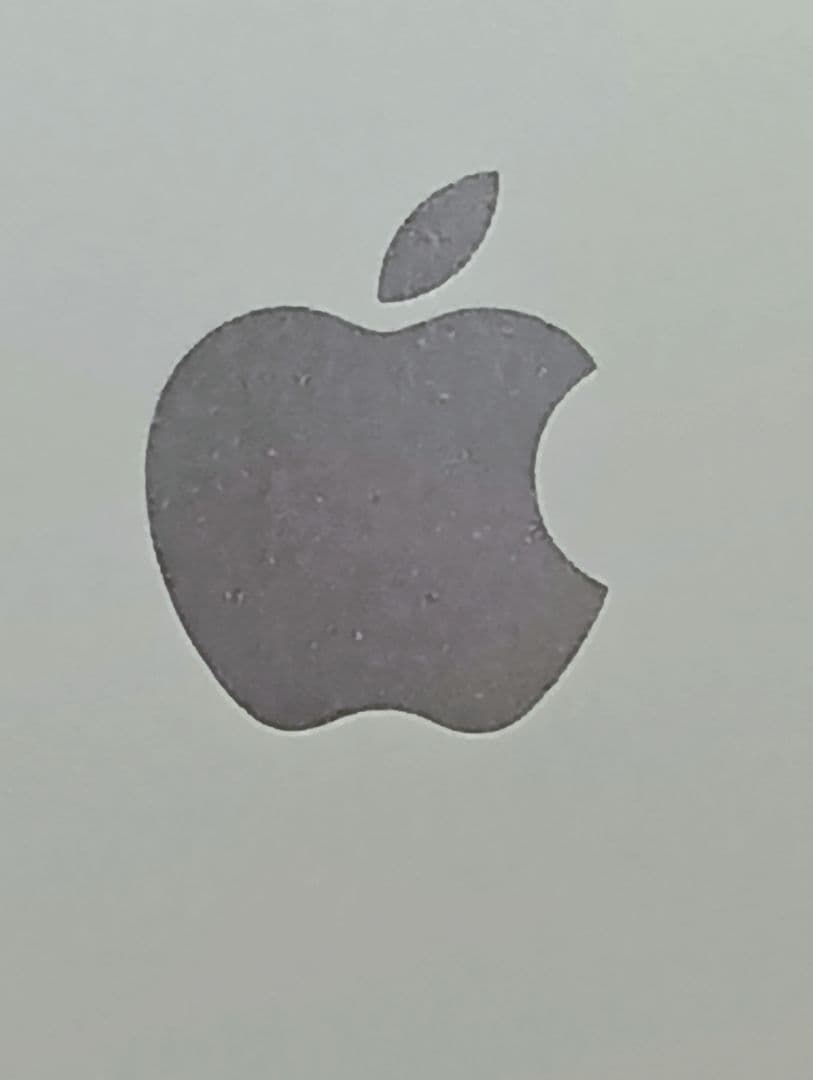 iPad mini4 579C-A1550　シルバーカラー/シリコンカバー付き