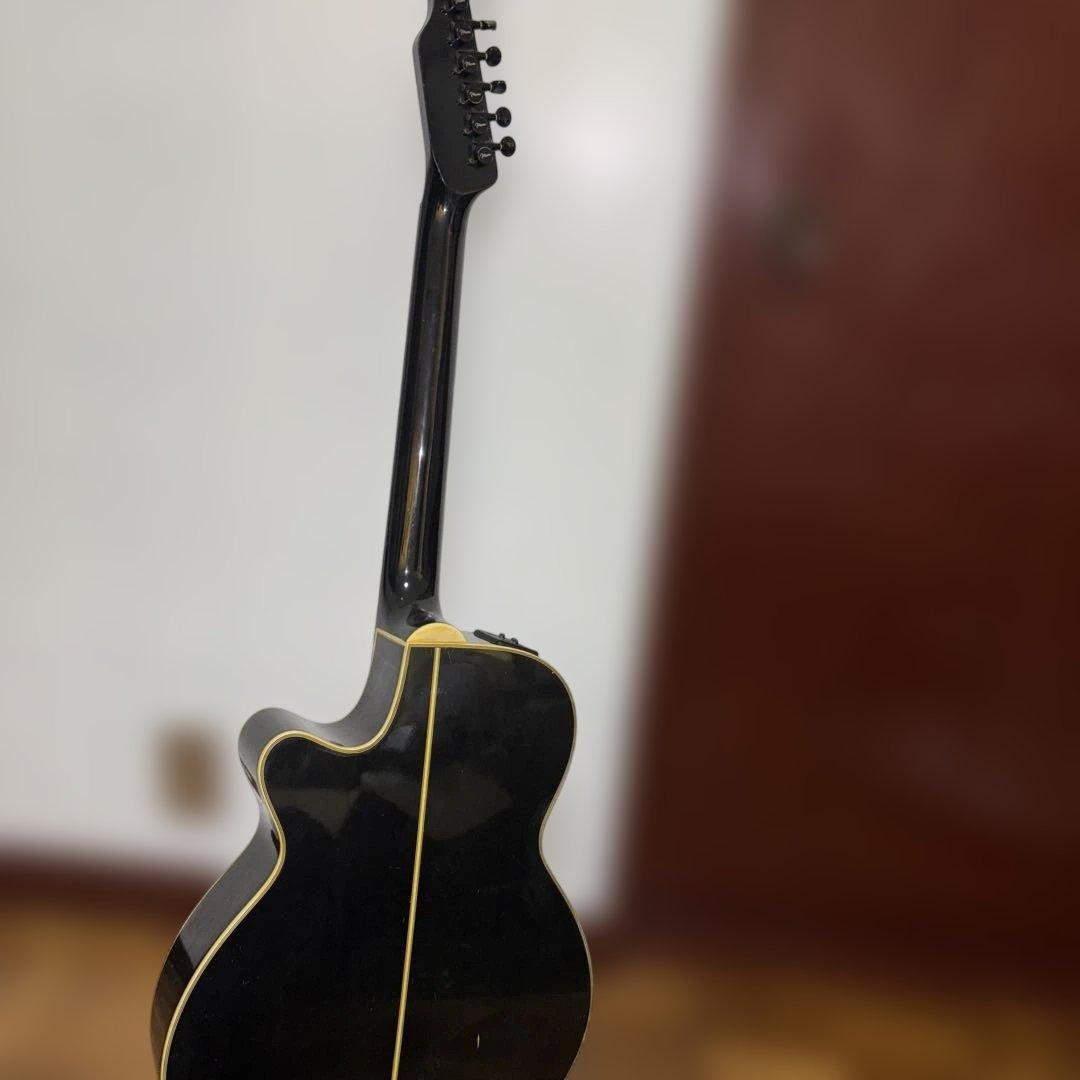 タカミネ　エレアコ