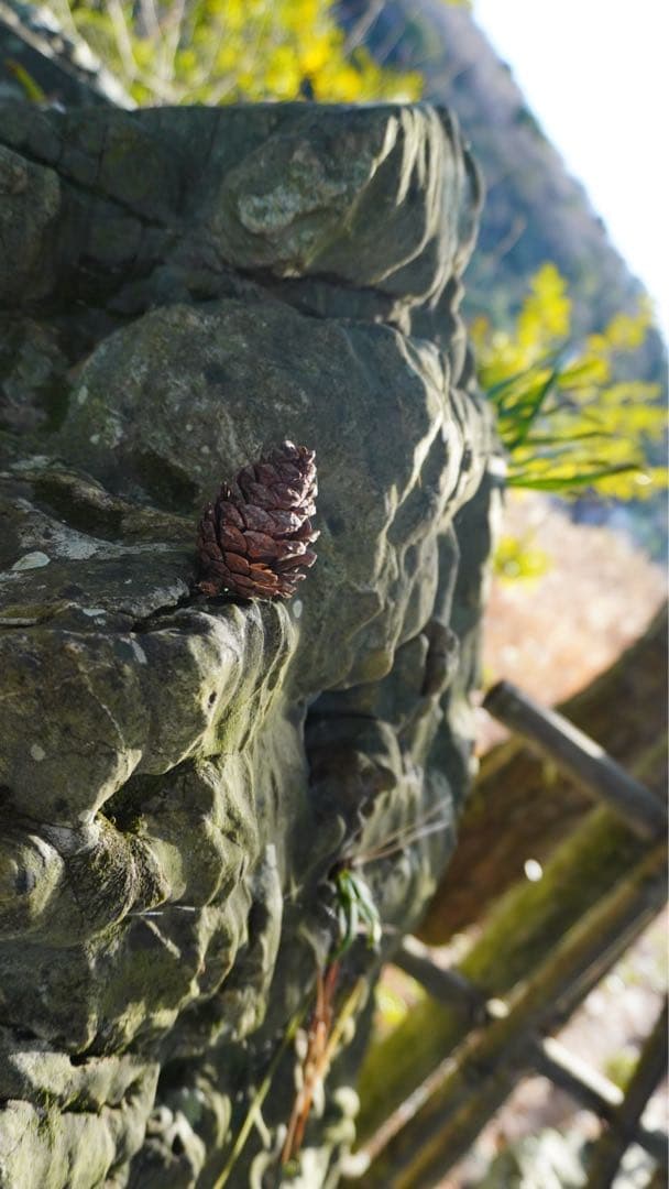 SONY VLOGCAM ZV-E10 ズームレンズキット＋カメラバック