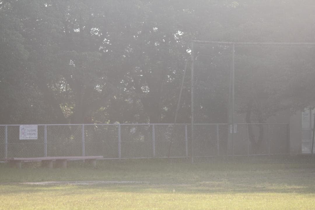 シグマ APO 150-500mm F5-6.3 DG キャノン用