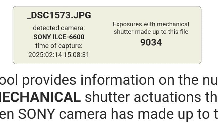 SONY α6600 ゲージ付