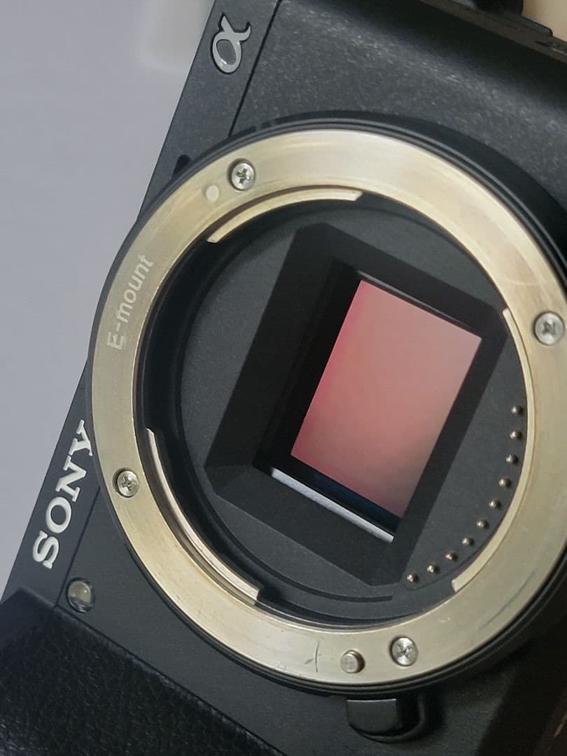 SONY α6600 ゲージ付