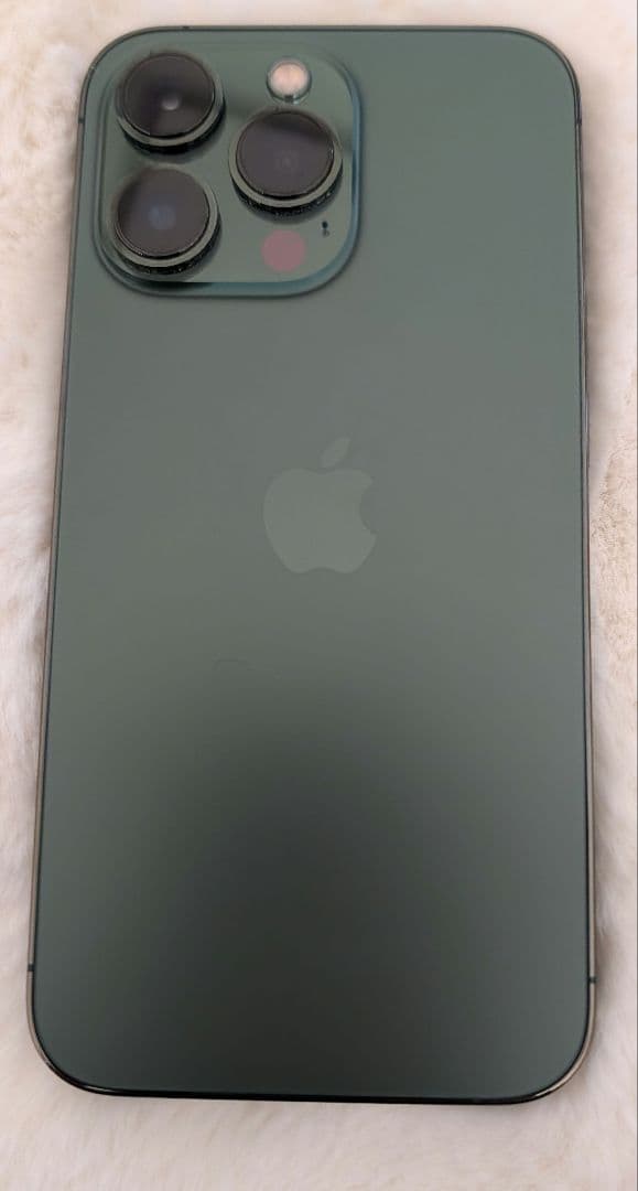 iPhone 13 Pro 256GB 超美品　おまけ付