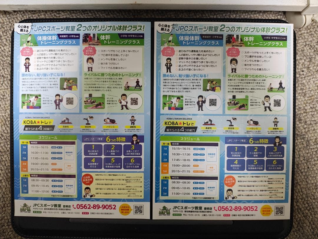 Canon キャノン プリンター 本体 TR9530 (F01)