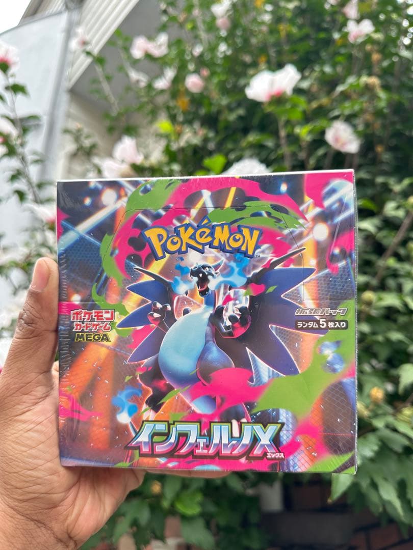 ポケモン インフェルノX メガ進化