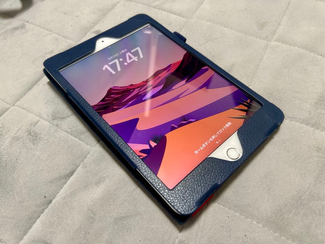 美品 傷無 iPad mini5 64G WiFi Cellular SIMフリ